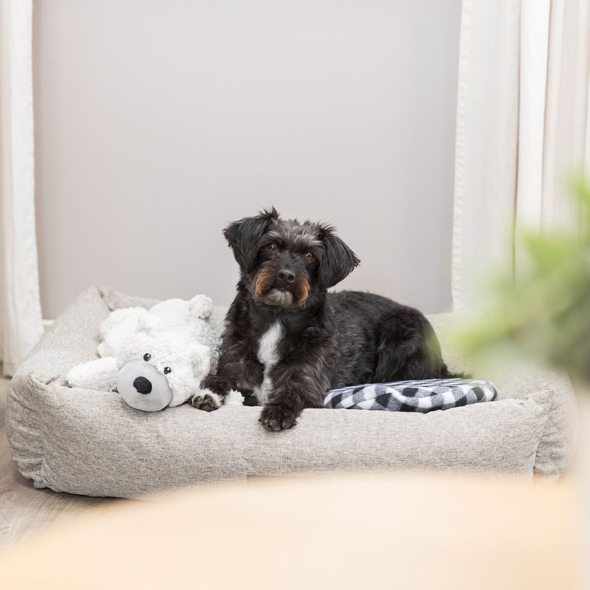 Ortopedinen peti Trixie Noah